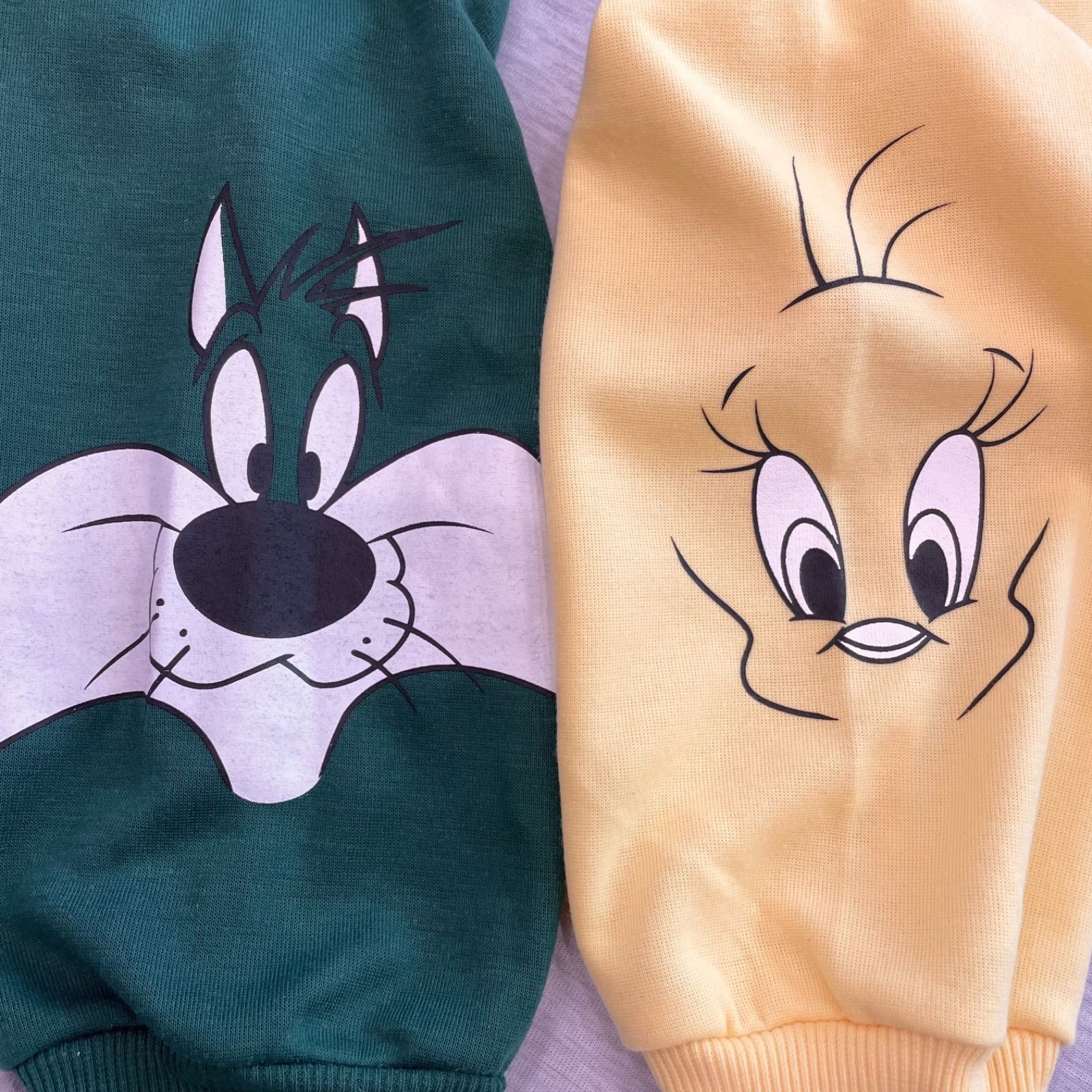 LOONEY TUNES トゥイーティー レディース ジャージ 上 L