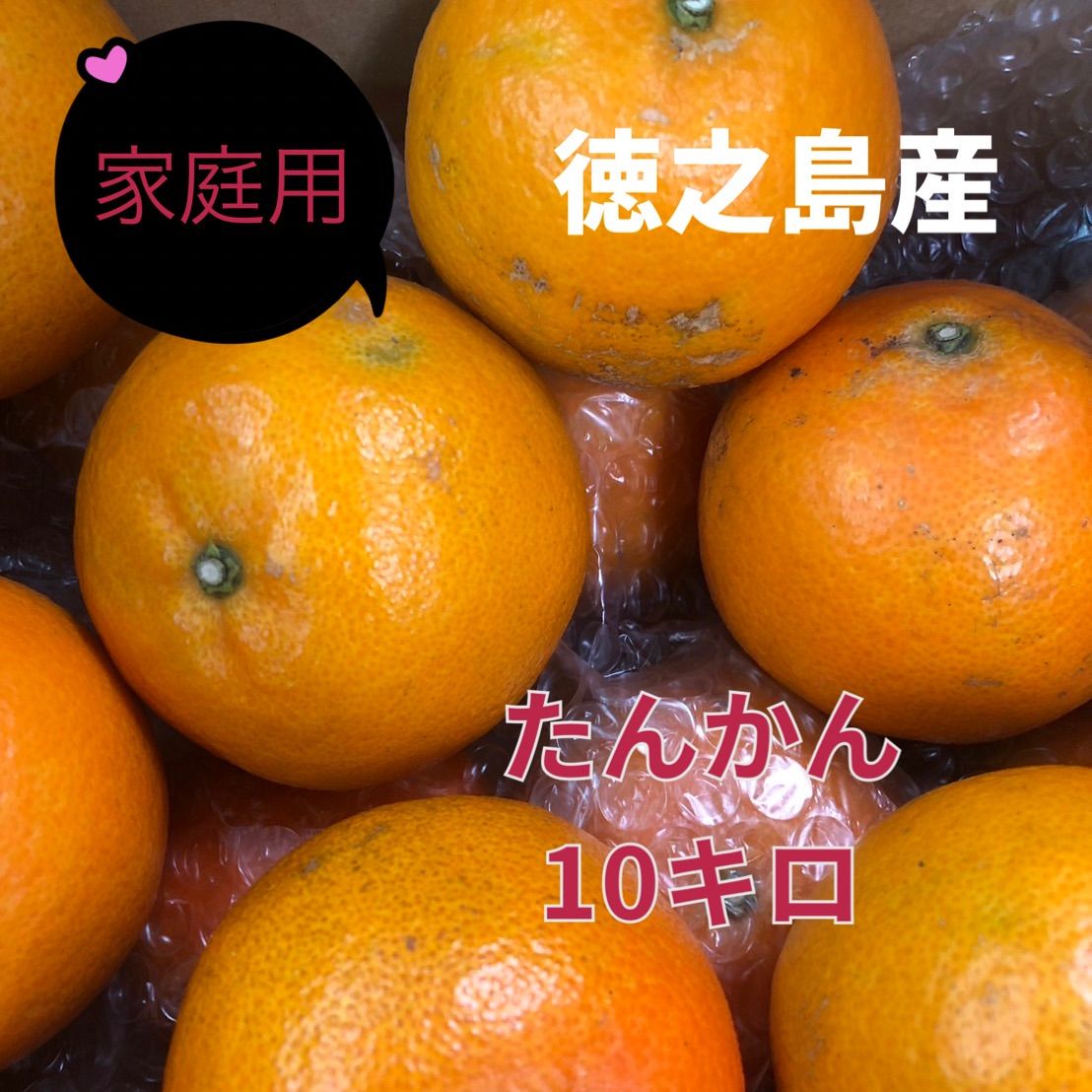 徳之島産 たんかん 10キロ 家庭用 まろん様専用‼️徳之島産 たんかん10キロ