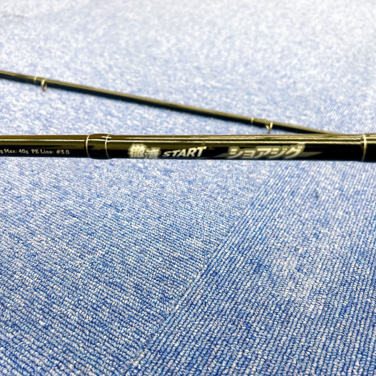 ショアジグ レジャー