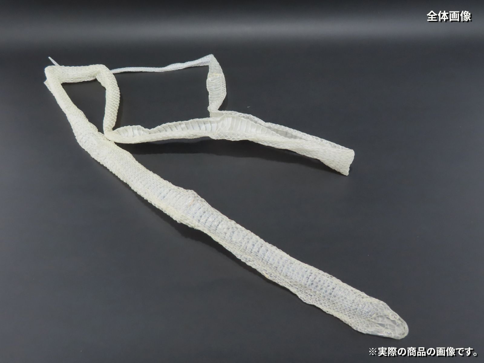 全長約1m32cm HC-1