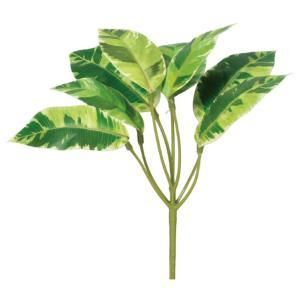 【新品・3営業日で発送】ASCA アスカ カラテアピック ヴァリゲイトグリ-ン (A-44429051V)【入数:24】