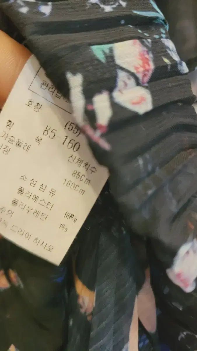 シフォン