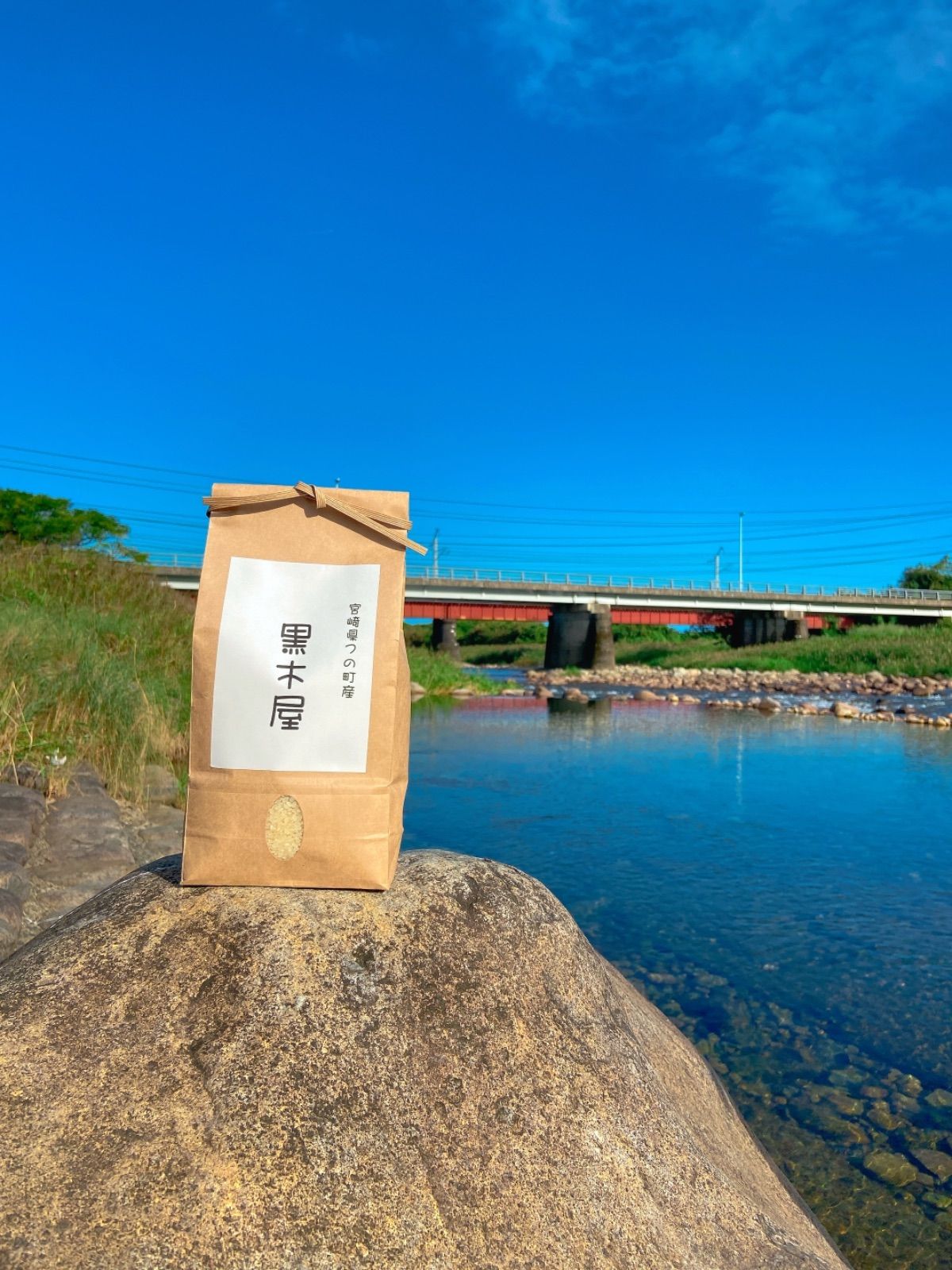 【新米】宮崎県産コシヒカリ10kg   美味しい無洗米-1