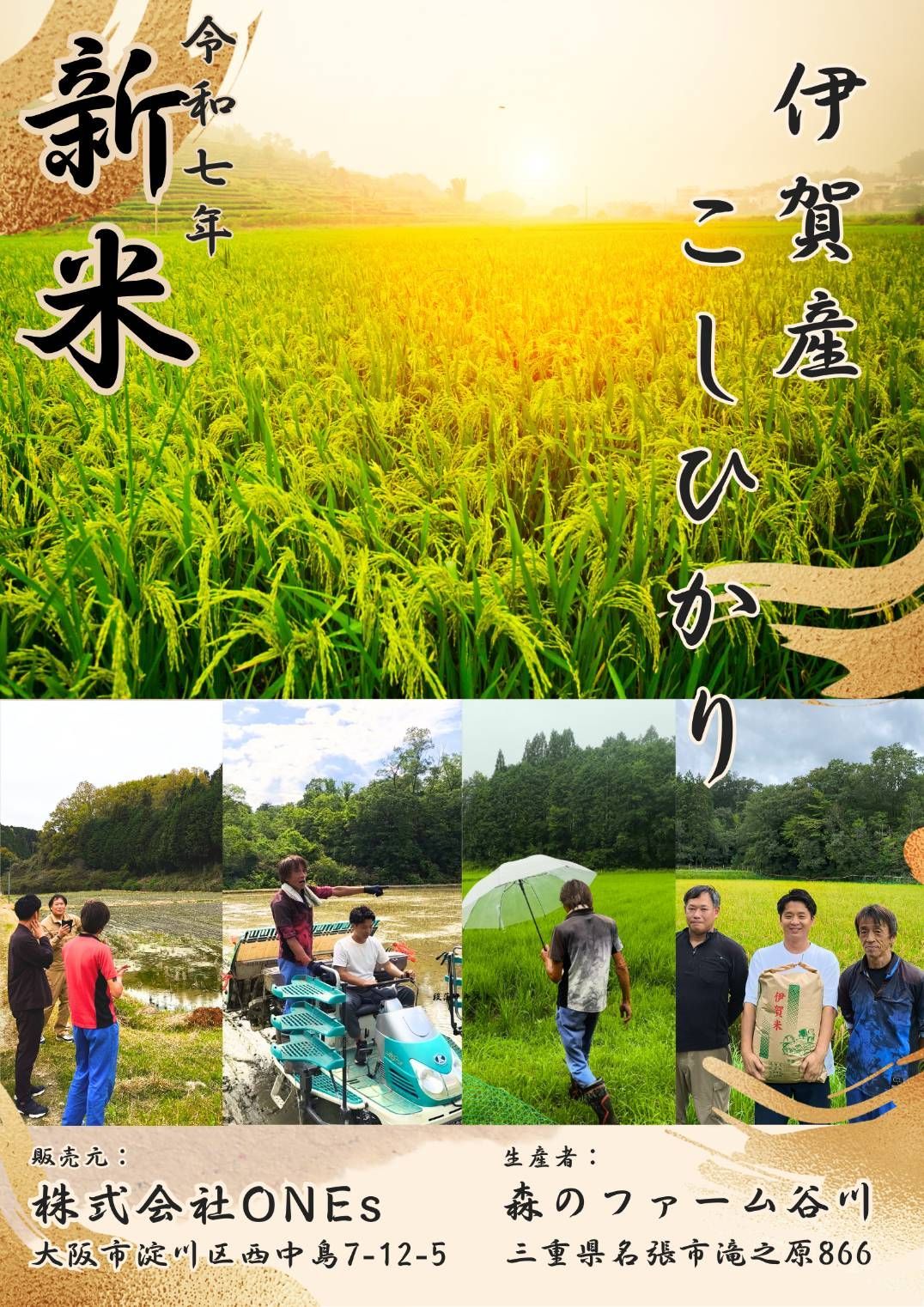 令和7年 コシヒカリ 三重県産 玄米 精米 10kg