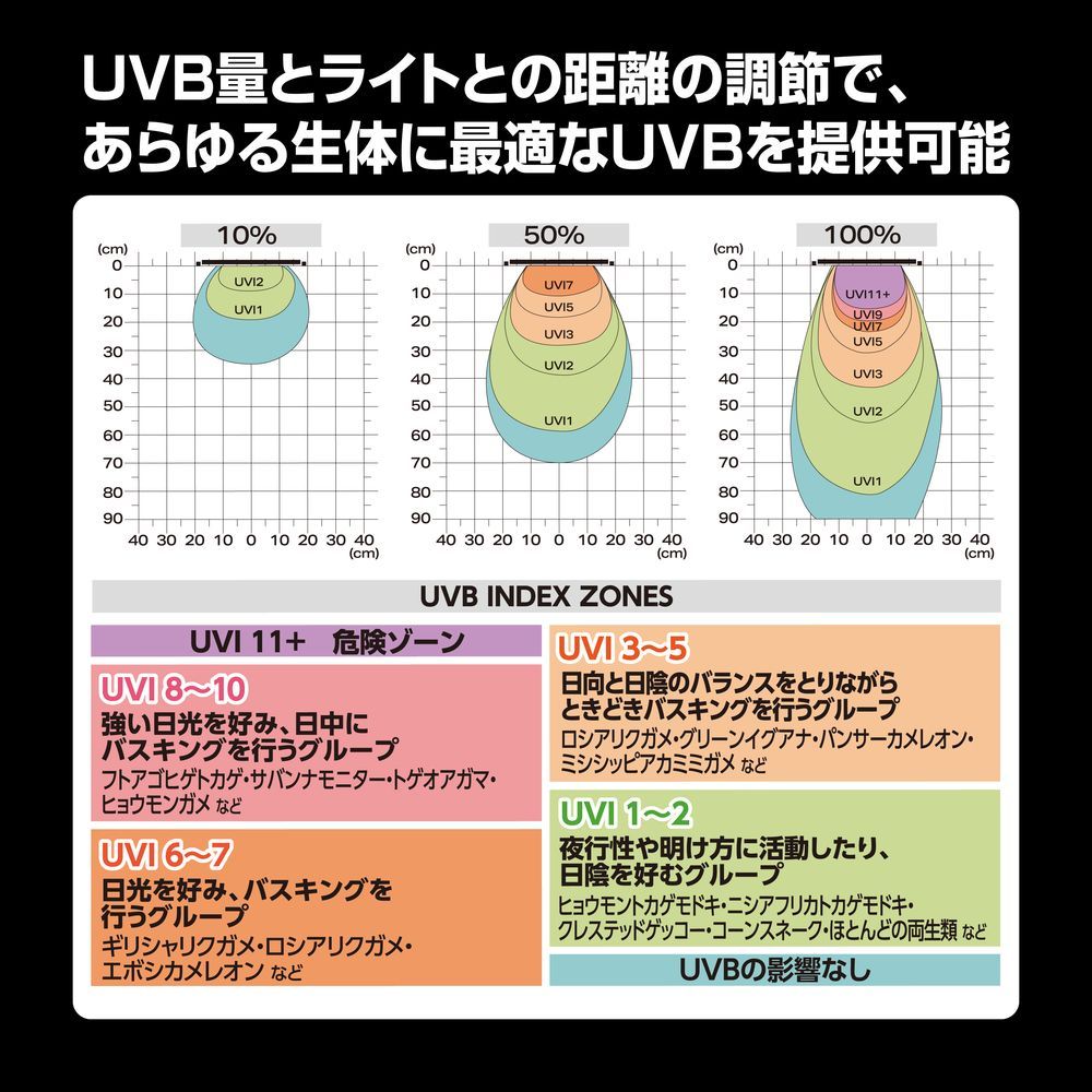 スライド10W タイマー付き