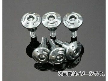 2輪 ケイファクトリー/K-FACTORY シリンダーヘッドカバーボルト ガンメタ カワサキ/KAWASAKI ZRX1100