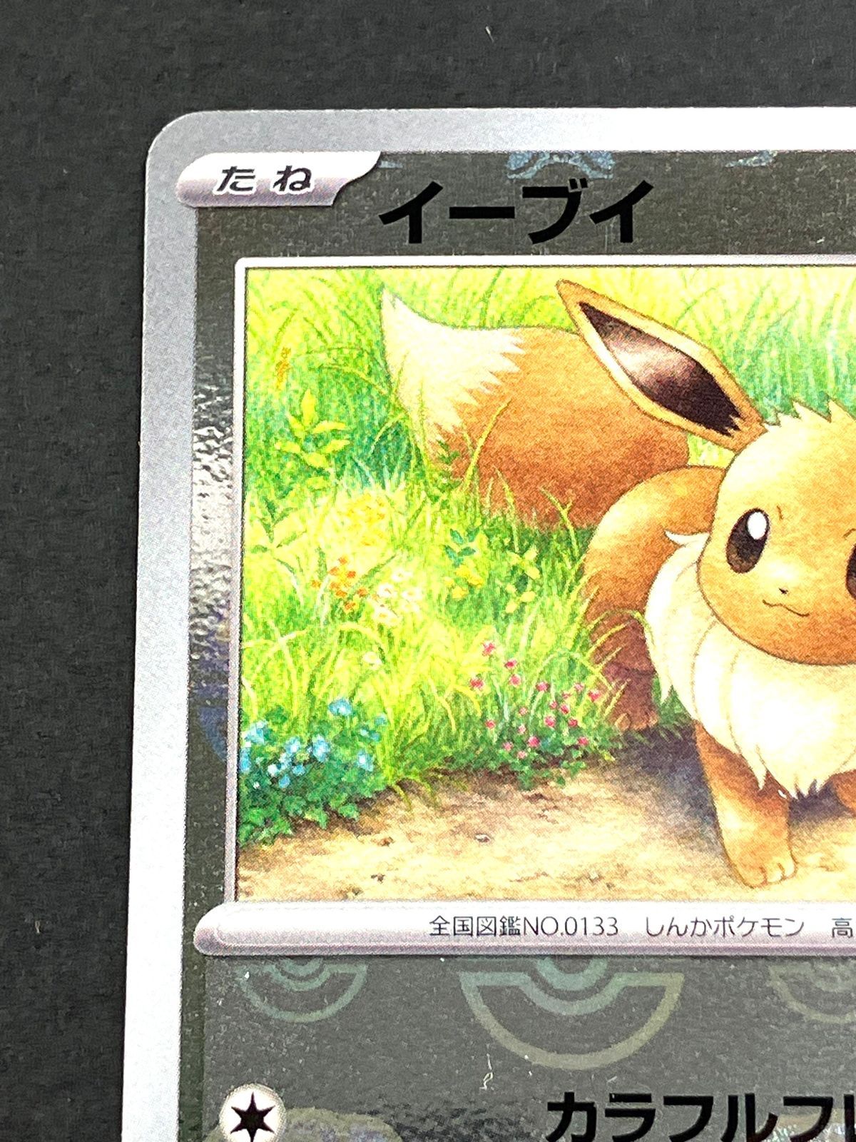 01m1976 ポケモンカードゲーム ポケカ イーブイ マスターボール 01m1976 ポケモンカードゲーム ポケカ イーブイ マスターボール