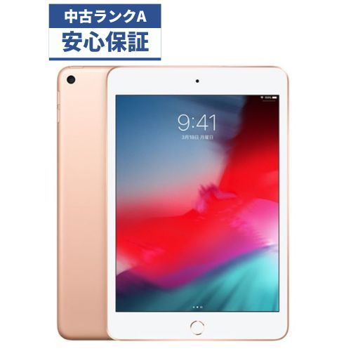 【訳あり】iPad mini5(第5世代) 64GB Wi-Fi／説明必読
