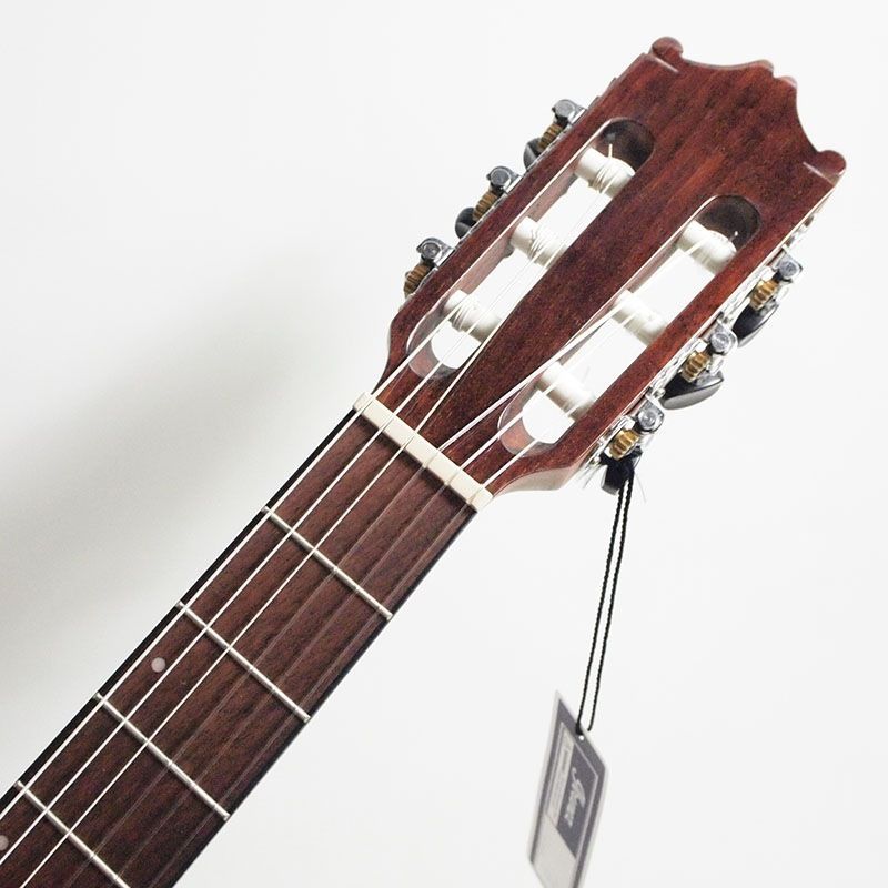 Ibanez