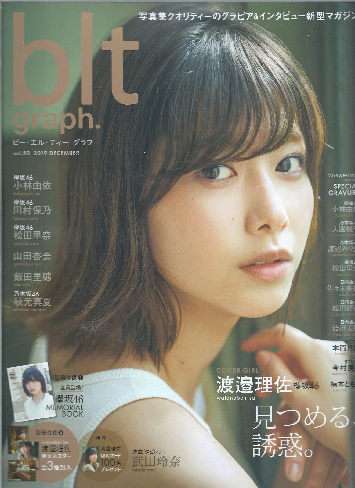 blt graph vol.10 グラビア 平手友梨奈 欅坂46 ポスター付き 堀未央奈 