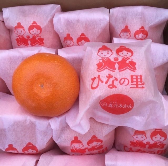 ひなの里 屋根掛けみかん