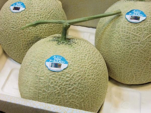 メロン JAほこた アールスメロン 茨城産 高級マスクメロン 大玉3