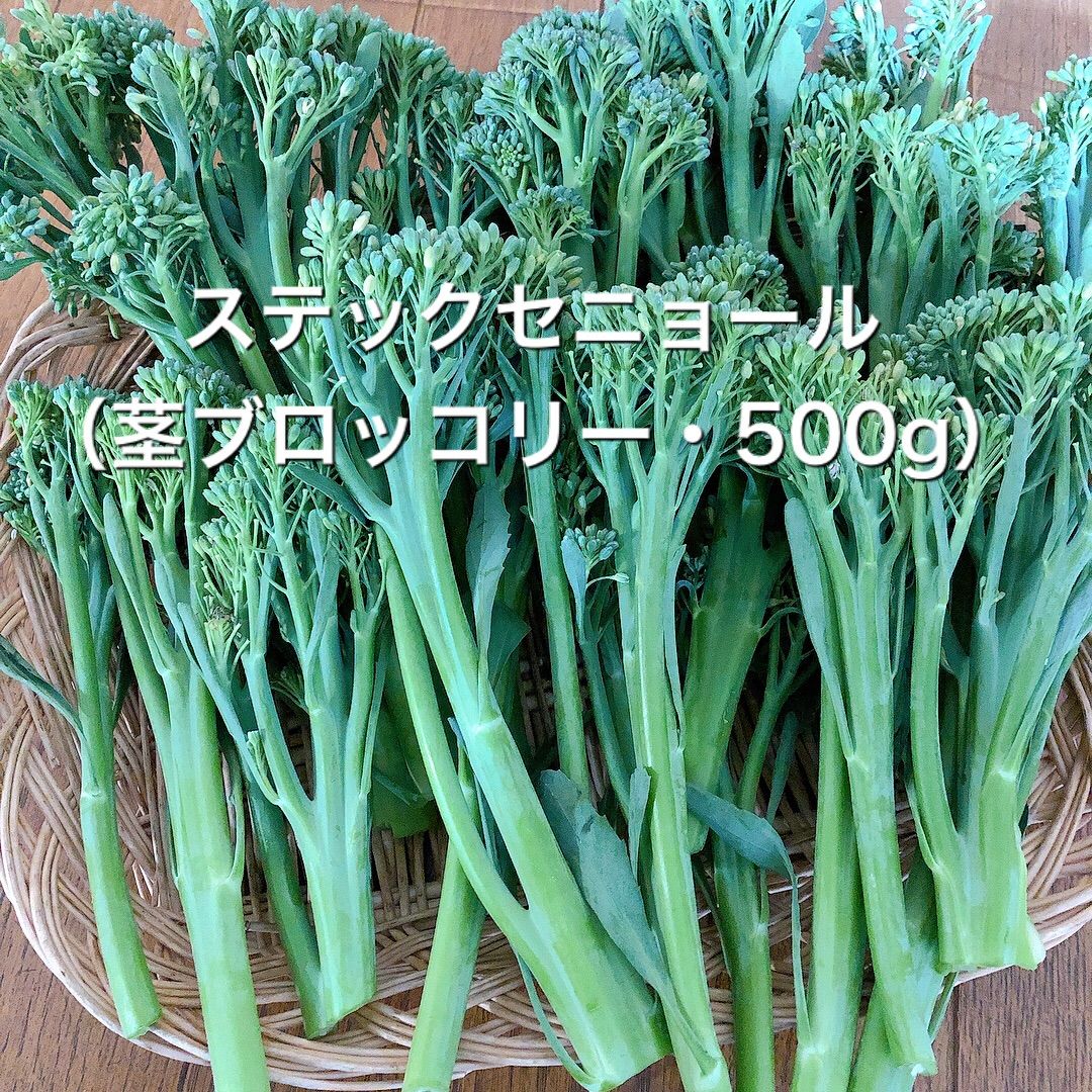 農薬不使用 スティックセニョール 茎ブロッコリー 400g - 野菜