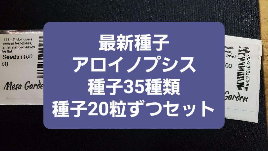 アロイノプシス 種子３５種類 ２０粒ずつセット