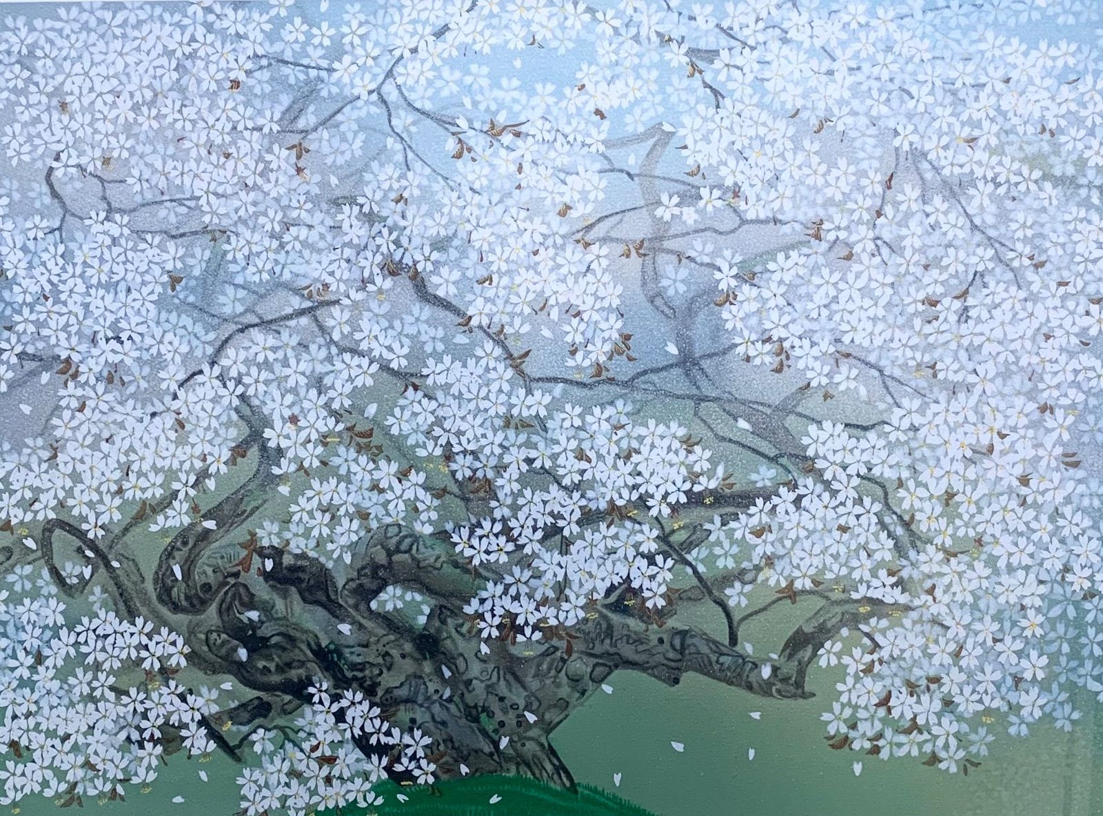 額付 真作 山櫻 中島千波 Chinami Nakajima リトグラフ 作家直筆サイン 作品証明シール 版画 版画