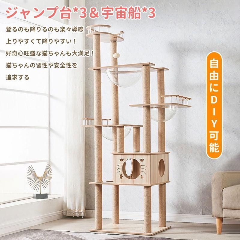 透明宇宙船 猫ハウス