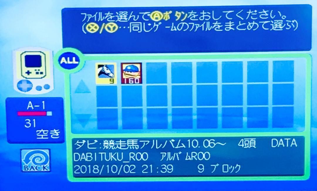 新品電池交換】DC ビジュアルメモリ ビジュアルメモリー クリアブルー