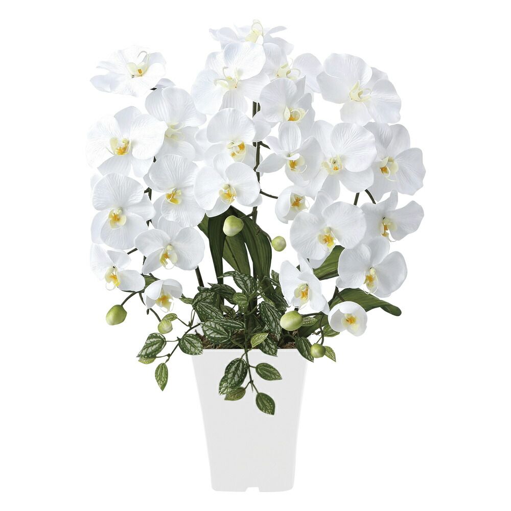 アートフラワー 造花 プリンセス胡蝶蘭W〔テーブルタイプ〕/光触媒 観葉植物 ウンベラータ フェイクグリーン 花 胡蝶蘭 開店祝い 開業祝い 誕生祝い 造花 アートフレーム おしゃれ 飾る 3Lサ