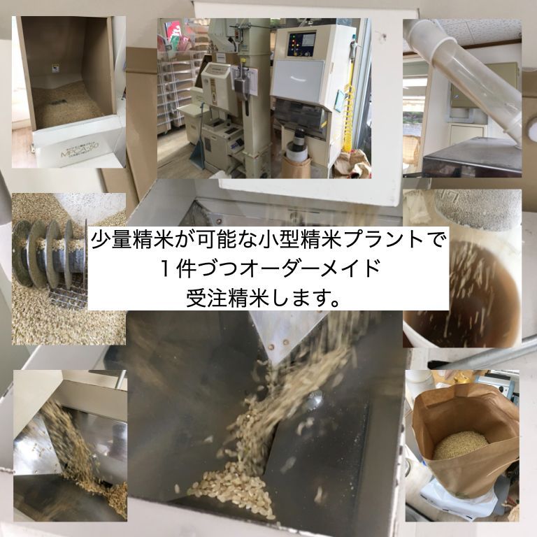 広島県産 世羅あきさかり 令和7年産 玄米 30kg お米 美味しい 出荷直前 