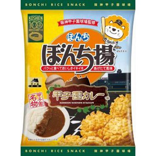 ぼんち ぼんち揚 甲子園カレー味 50g×20袋