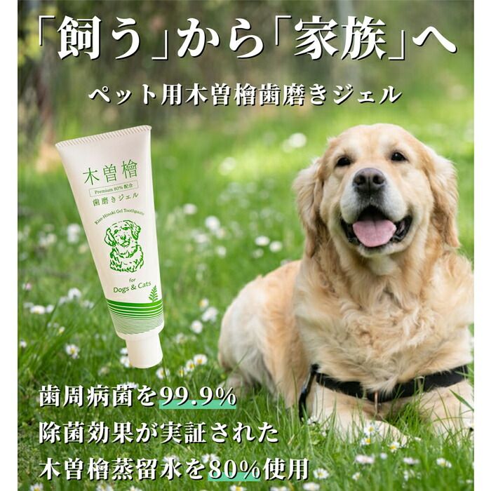 携帯用