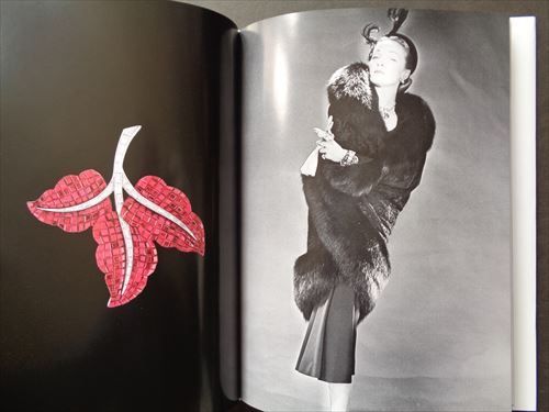 ヴァンクリーフ&アーペル伝説(ハード本) ヴァンクリーフ＆アーペル伝説(Van Cleef＆Arpels)（日本語版