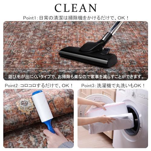 HAOCOO ラグ カーペット 洗える 140 200cm オールシーズン適用 MARWIL-DEMENAGEMENTS_CH