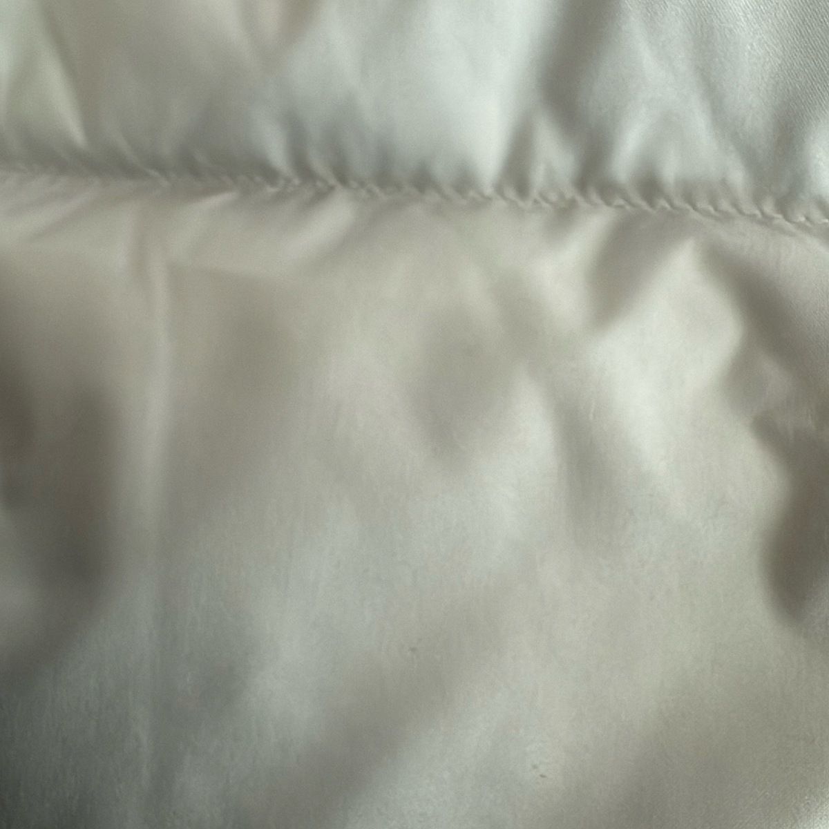 ライトグレー 冬