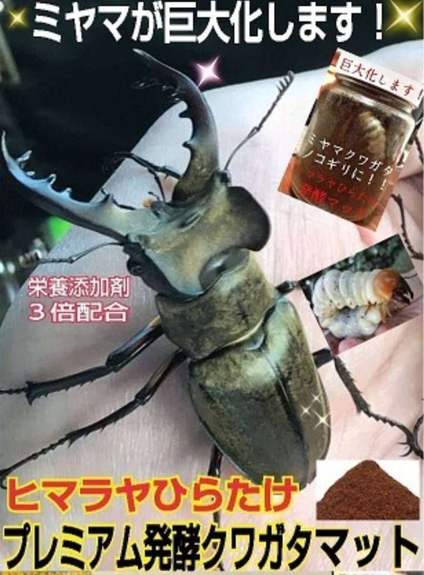 4袋セット 特殊アミノ酸