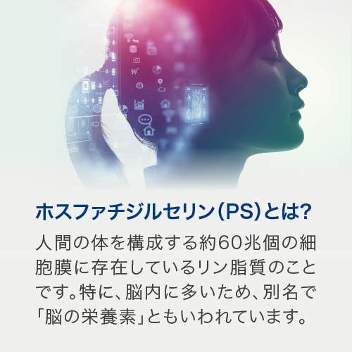 5個セット