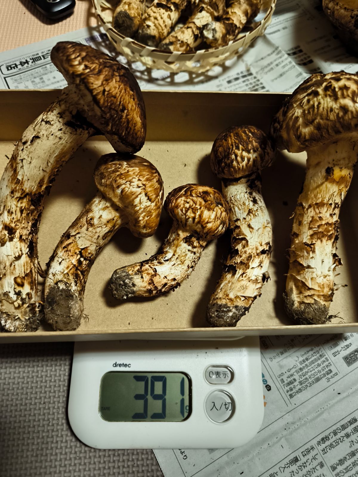 岩手県産松茸 1,5㎏ 岩手県産松茸 良品 1.5kg 5 岩手