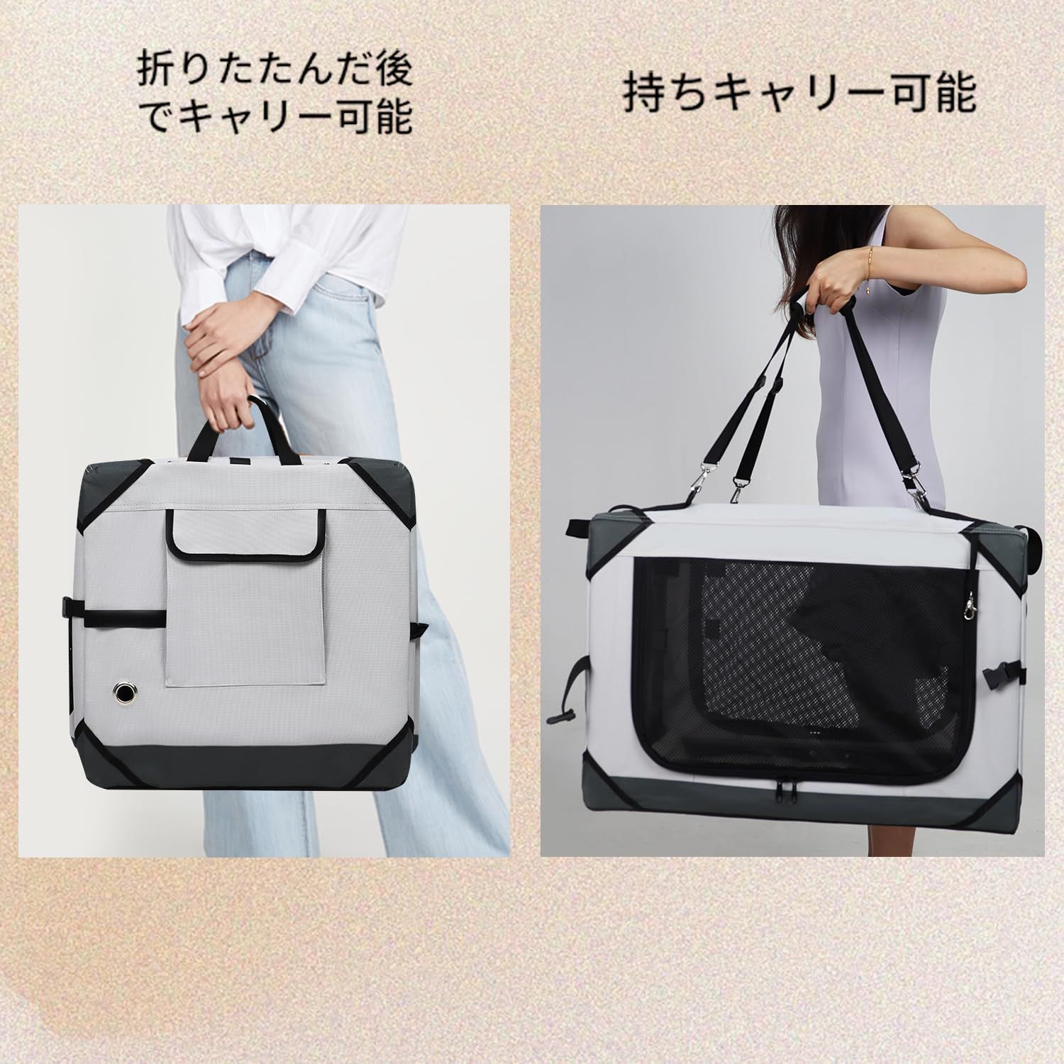 キャンプに大活躍 中型犬