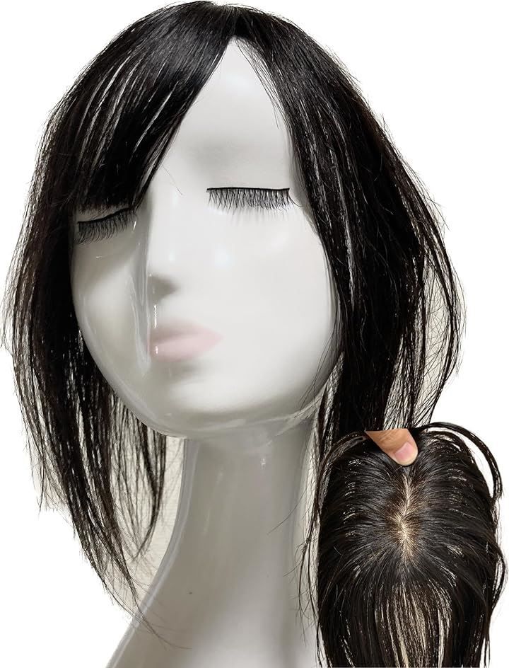 高級レミー人毛100% 自然な黒【総手植えS】シルクスキン フルウィッグ