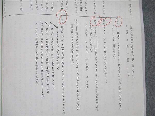 UX19-093 日能研関西 小6 灘特進特別教材 国語 2019 03s2D