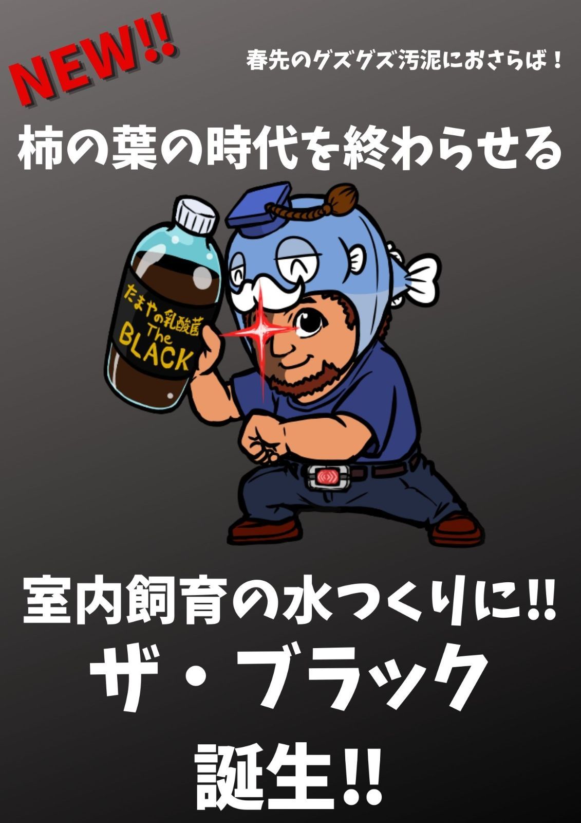 たまやの乳酸菌