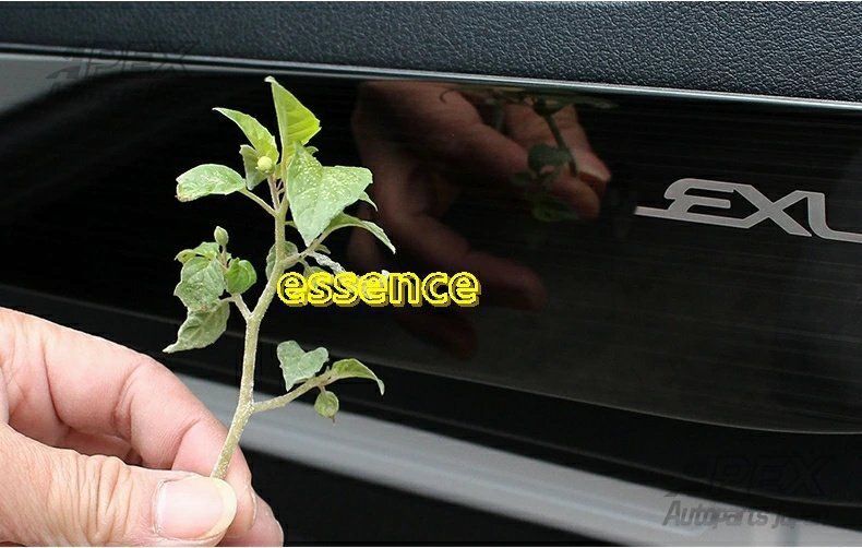 ハイブリット カスタム