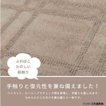 シオン 本間2帖