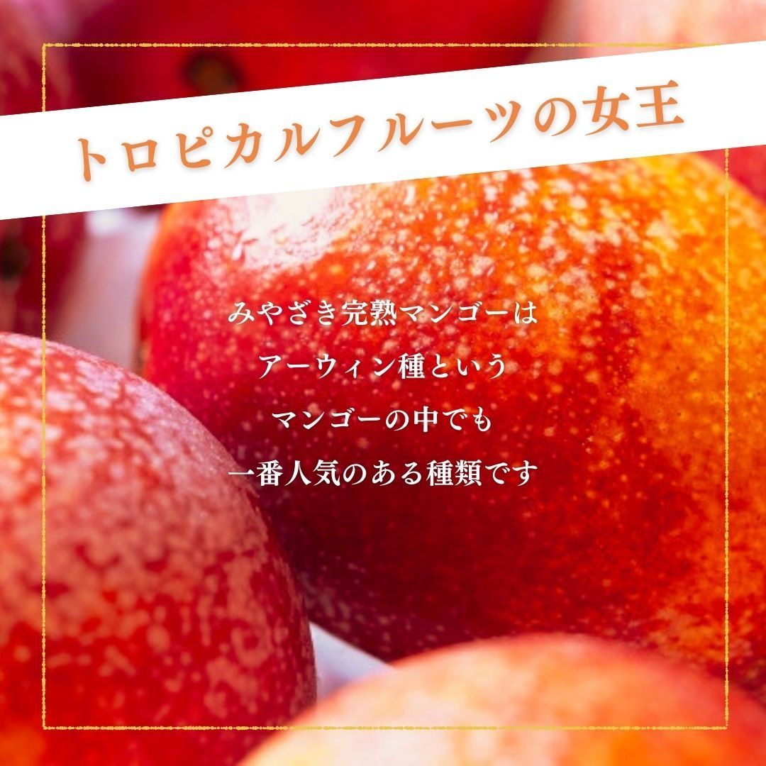 ★ マンゴー
