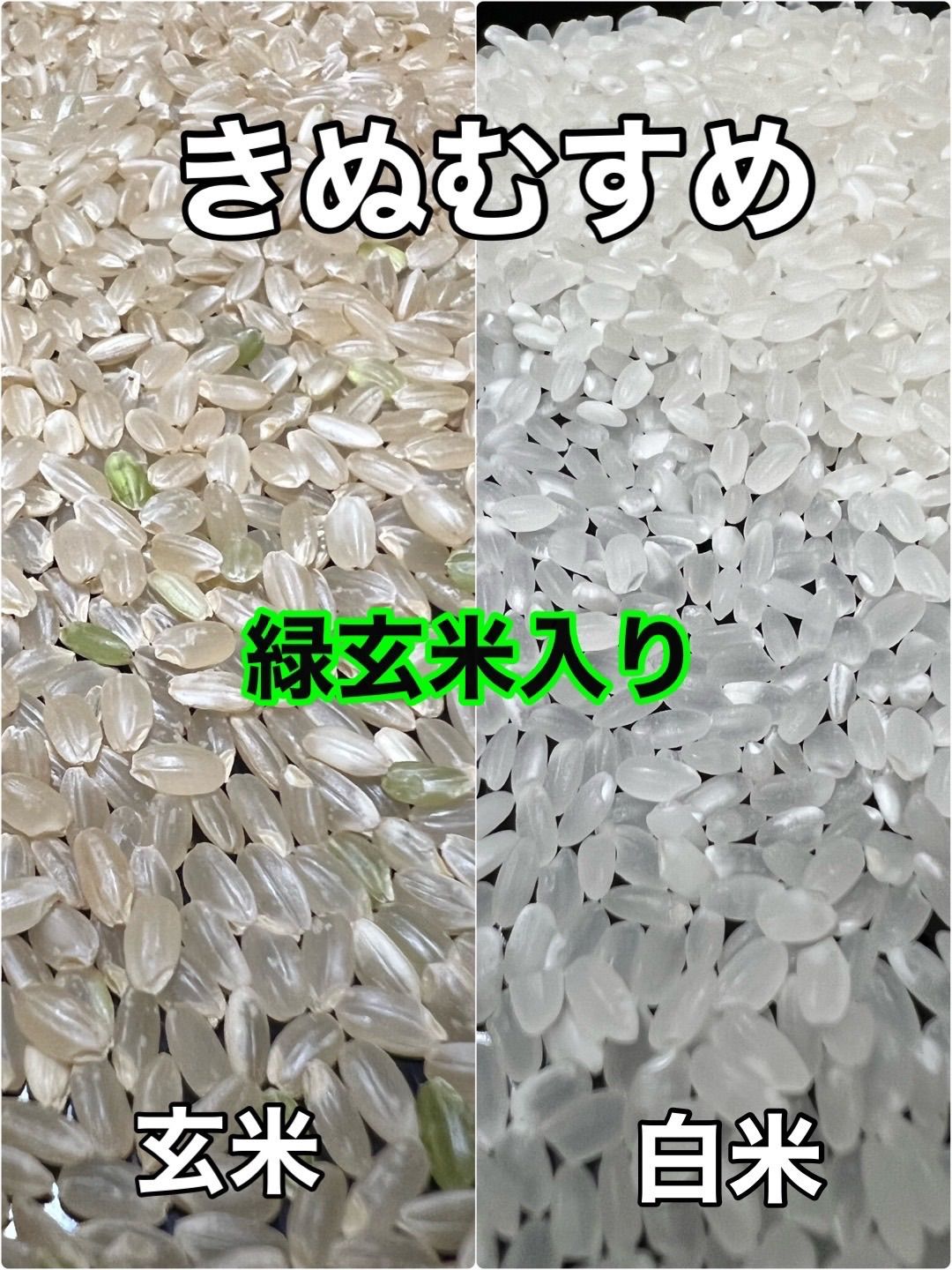 63％以上節約 令和4年産 キヌヒカリ 新米 白米 10 キロ 淡路島産 10kg