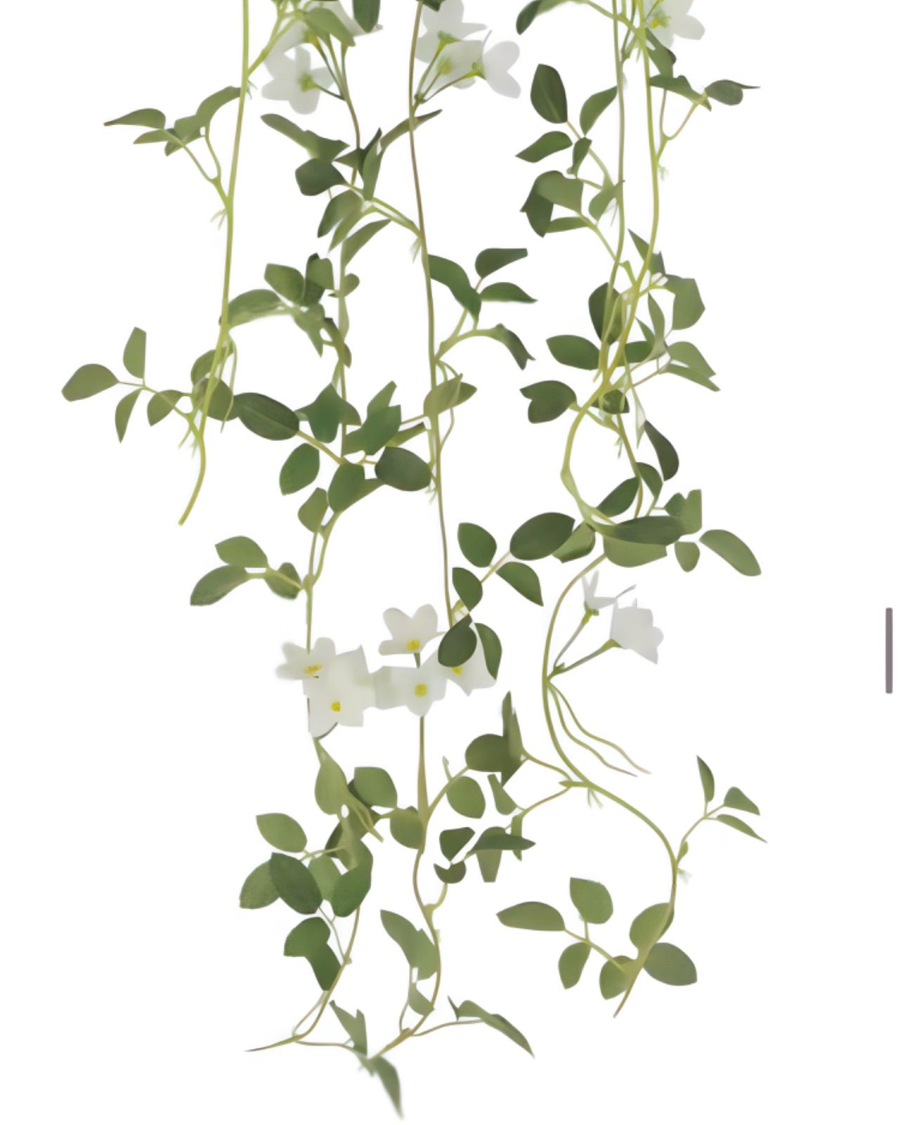 光触媒　人工観葉植物　ウォールグリーン　フェイクグリーン　壁掛けブロッサム 光触媒 人工観葉植物 ウォールグリーン フェイクグリーン 壁掛け