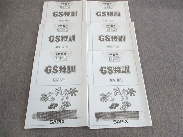 UU02-083 SAPIX 小6 サピックス GS特訓 国語 GS01〜06 【計6回分 