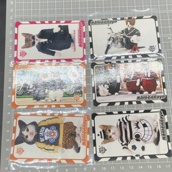 Z197 なめねこ なめ猫 なめんなよ 免許証 ニャン太郎 トラ次郎