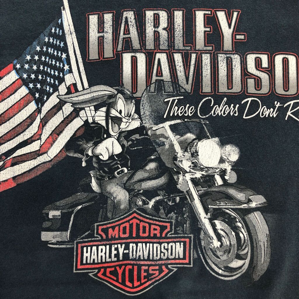 DAVIDSON ハーレーダビッドソン
