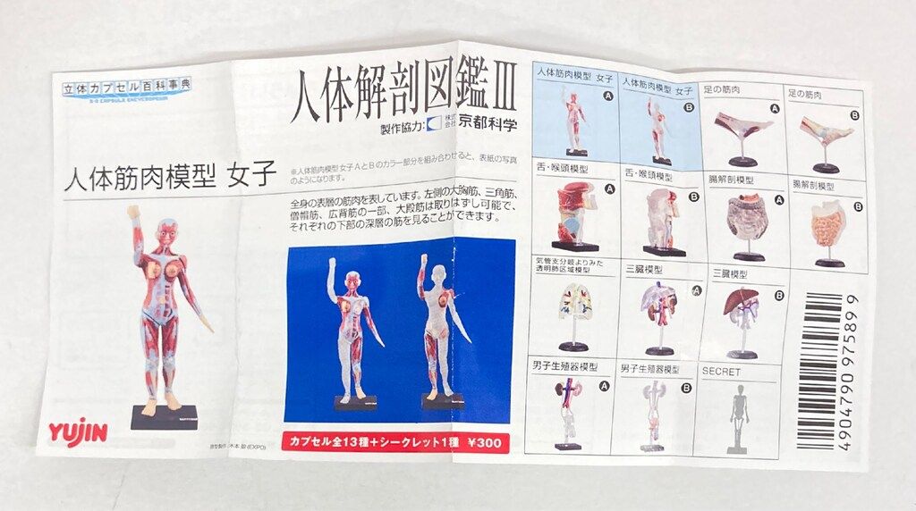 yujinこどもの事典大百科 【送料無料】ユージン 人体解剖図鑑 yujinこどもの事典大百科 【送料無料】ユージン 人体解剖図鑑