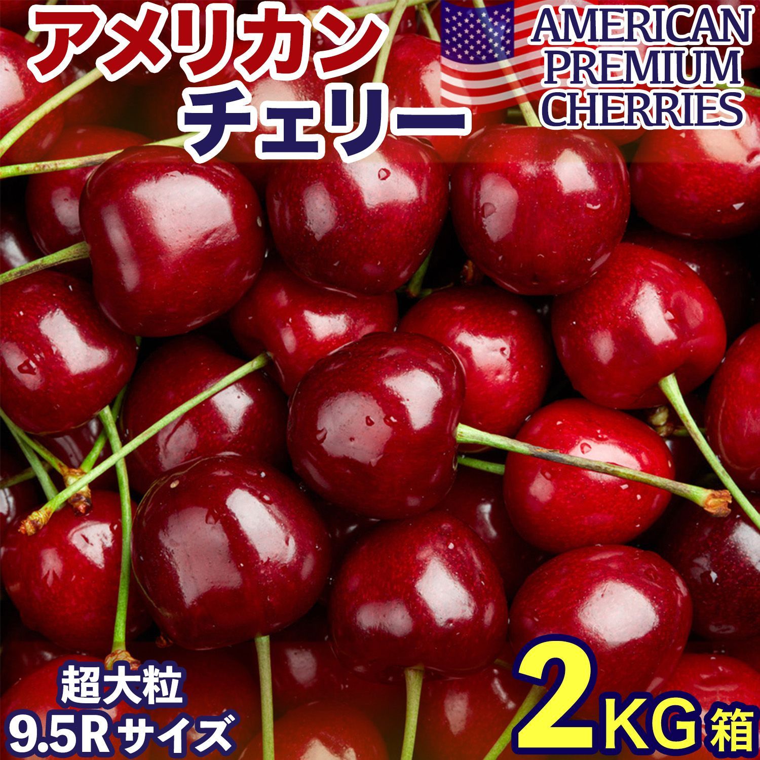予約5月下旬 アメリカンチェリー 2kg 大粒9.5Row｜空輸直送 日本向け高鮮度｜ジューシーで濃厚な甘さ 食べごたえも抜群｜American Premium Cherries 車厘子 櫻桃｜四季の広場厳選｜家庭用 贈答用 お中元 父の日 検品 夏
