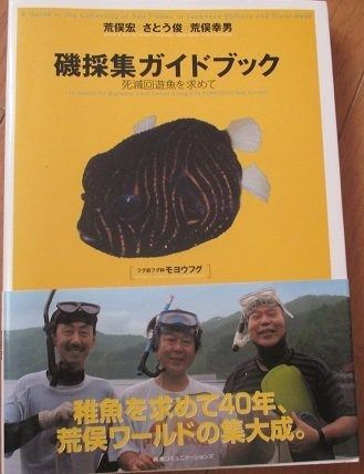 磯採集ガイドブック : 死滅回遊魚を求めて 磯採集ガイドブック / 荒俣 宏/さとう 俊/荒俣 幸男【著