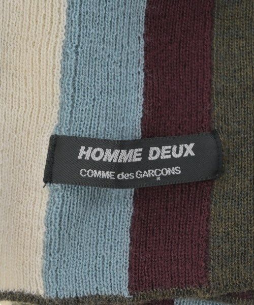 HOMME
