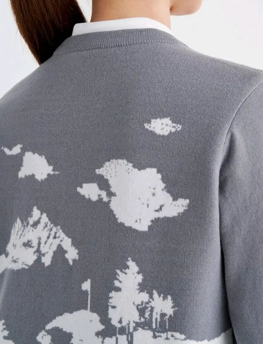 防風 グラフィック