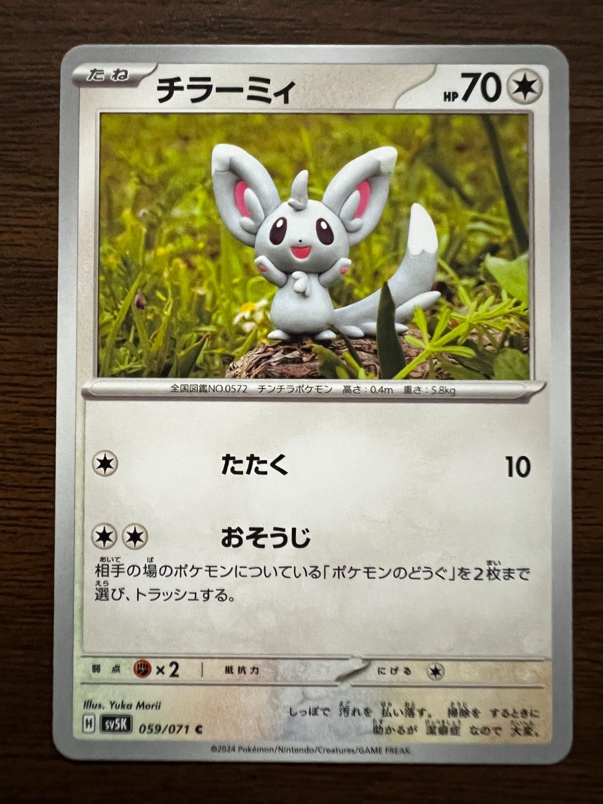 pucchon24さん11-4-15 090128_main_3.jpg