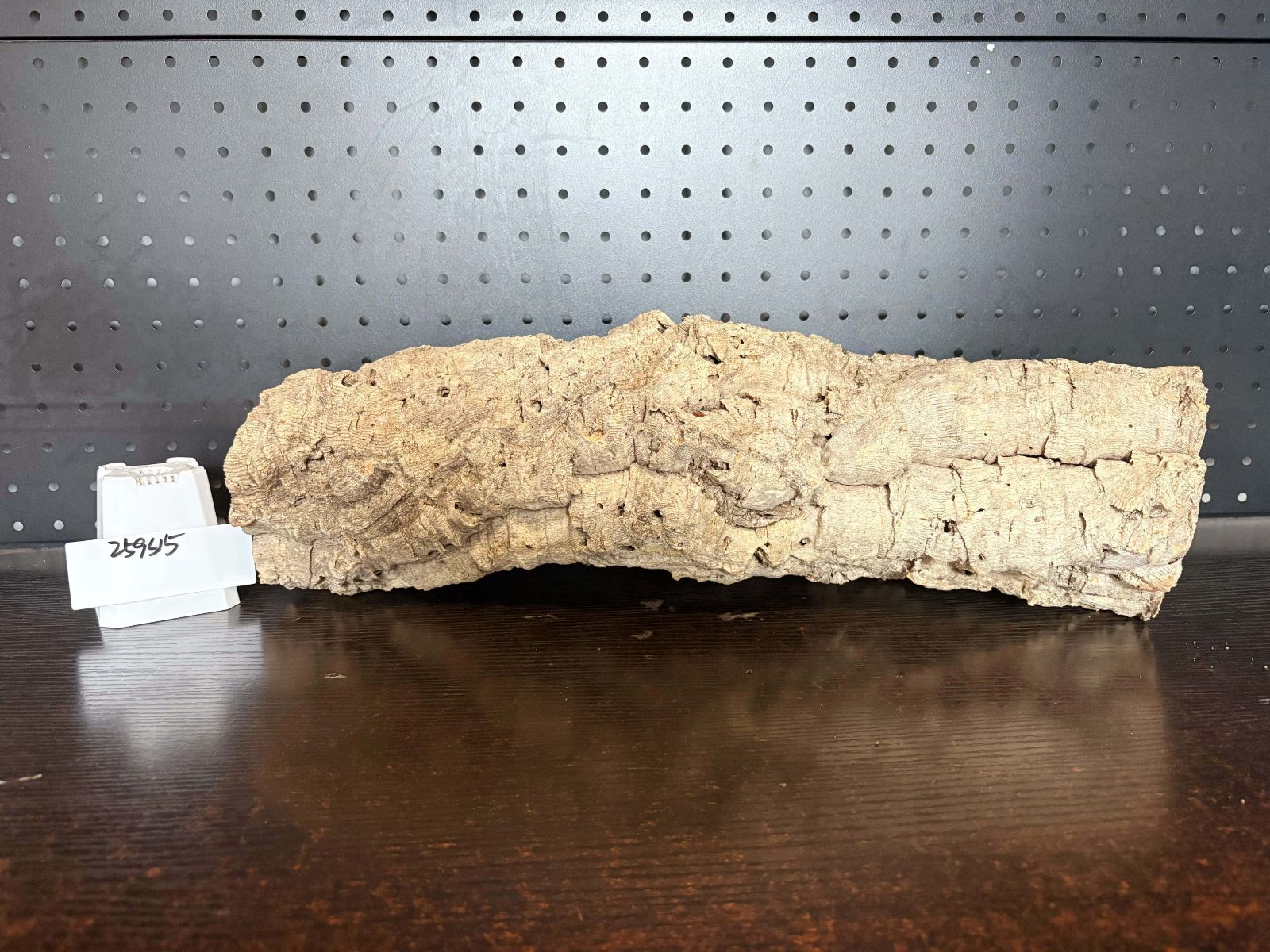 259S15 ポルトガル産 キャノンコルク コルク樹皮 コルク板 バージンコルク チランジア ビカクシダ 着生ラン 両生類 爬虫類 YUZUMIYA_COM